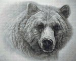 (image for) Grizzly Bear